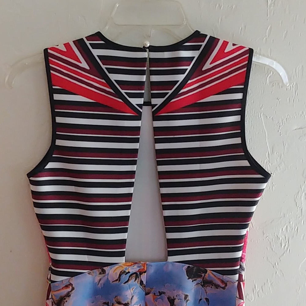 Stunning Clover Canyon Mola Floral Print Dress - Picture 5 of 8